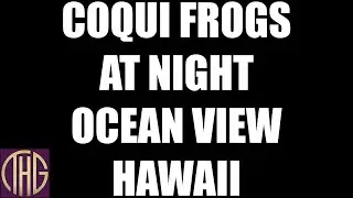 Coqui Frogs At Night In Ocean View Hawaii