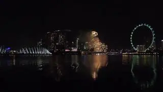 New Year 2017, Singapore |  Gardens By The Bay East