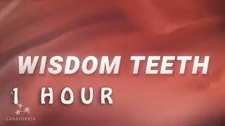 [ 1 HOUR ] Bea Miller - wisdom teeth (Lyrics)