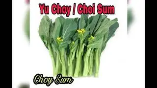 Vegetables name in Cantonese
#watch#learn#hk#info