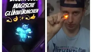 BRIGHT BUGZ Magie für Einsteiger - Tolle Effekte, verblüffende Tricks - Test Review