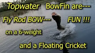 Topwater BowFin are--- Bow--- FUN !!!  on a 6-weight Fly Rod