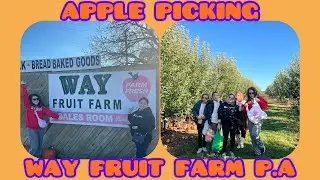 APPLE PICKING DAY/WAY FRUIT FARM PENNSYLVANIA USA#funday
