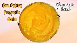 Nourishing BEE POLLEN Propolis Skin Balm Cleopatras Secret