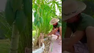 Happy with daily living/Family Farm