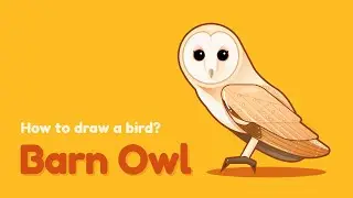 How to draw a bird - Barn Owl? Easy and simple drawing | Animal character design tutorial