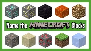 Minecraft Blocks Quiz!