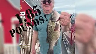 Outdoors Delmarva:  A New Record White Perch in Maryland
