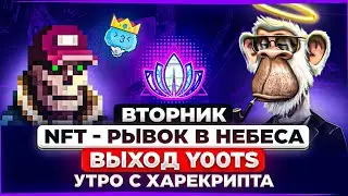 Утро с Харекрипта! НФТ - рывок в небеса. Выход Y00ts.