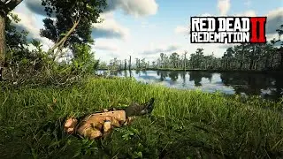 Misty Sunset at Bluewater Marsh | RDR2 ASMR Ambience