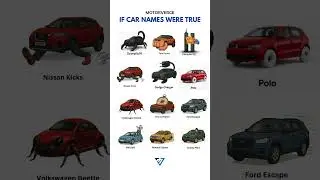 Car Brain Rot