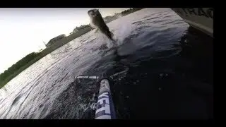 Caught 2 more Big Fish 7.3 Pounder!!! The BIG bass bite is on fire right now!!!!