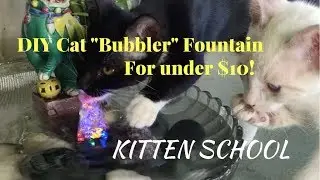 DIY Disco Light Cat Bubbler Fountain for Under $10!