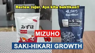 Mizuho VS Saki Hikari Growth, Review pemakaian selama 1 bulan, manakah pelet yang paling baik??