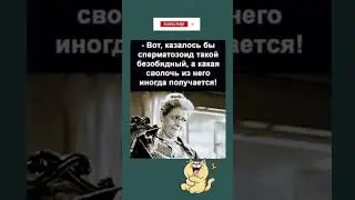 #юмор #мем