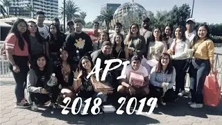CSUSTAN API 2018-2019
