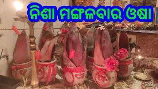 ନିଶା ମଙ୍ଗଳବାର ଓଷା//Nisha mangalabara osha//Odia oshabrata//Pujavidhi/Parba Parbani//Vlog