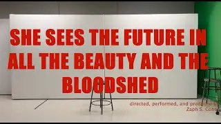 manifesto (She Sees The Future in the Beauty and the Bloodshed)