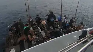 Matt's 50th Birthday Fishing Trip