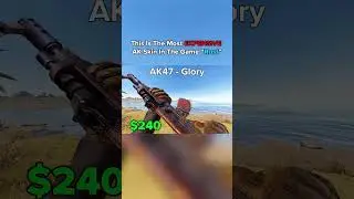 Cheapest VS. Most Expensive AK Skins (Rust)