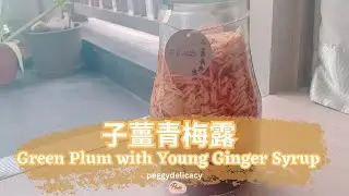🫚🍑子薑青梅露 Ginger Plum Syrup｜青梅＋子薑做酵素露！酸香爽口・天然酵素