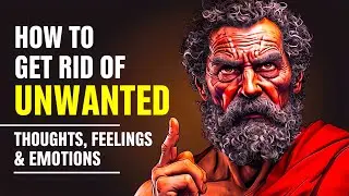How Stoicism Teaches You to Silence Negative Thoughts and Master Your Emotions