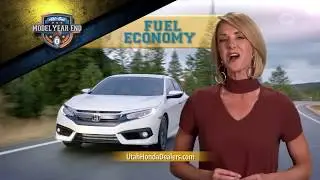 Sales Blitz Model Year End Pricing