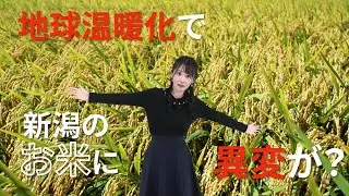 [気象関連動画]地球温暖化で新潟のお米に異変が？：新潟県
