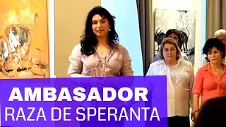 Ambasador 