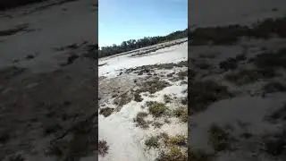 Ramo car in mud