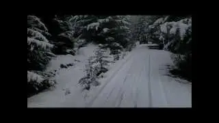 Kielder Adventure