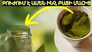 Լավրի Տերևի Թեյ՝ Ի՞նչ Կլինի, Եթե Ամեն Օր Խմեք