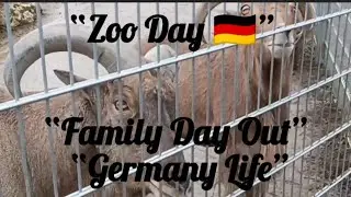 A Day at the Zoo in Germany 🇩🇪 | Indian Mom Life Abroad