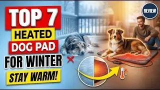 Top 7 best heated dog pad for winter review (Exclusive) warm sleep guide 2026