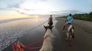 Coco Beach Village Boutique Bed & Breakfast