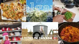 Видеоблог о жизни в Канаде. Кулинария + церковь + ферма в Калгари + покупка продуктов #Канада