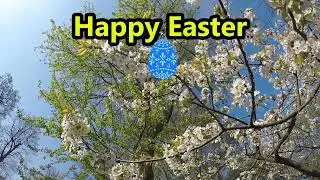 Happy Easter, Frohe Ostern 2024#happyeaster#froheostern#fr&uuml;hling