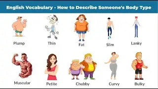 Describing Someone's Body Type - English Vocabulary || Daily Use English Vocabulary