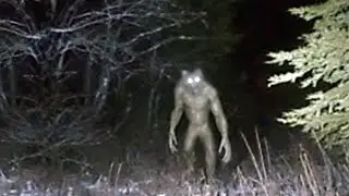They Caught Werewolves on Camera&hellip; Moments Later, Something Unreal Happened