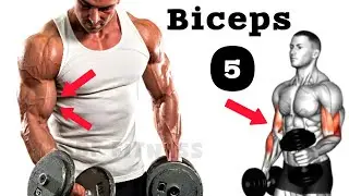 Perfect Biceps Exercises (Best Biceps Workout) For Strong & Muscular Arms – GYM