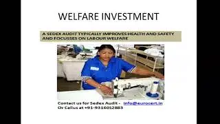 cost of sedex audit