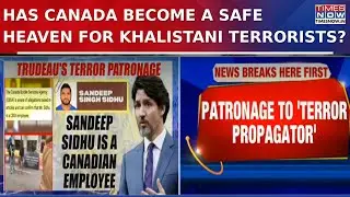 Sandeep Singh Sidhu Khalistan Terrorist- Wanted In India, Employed In Canada | Watch Video