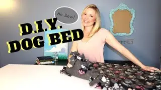 DIY No Sew Dog Bed