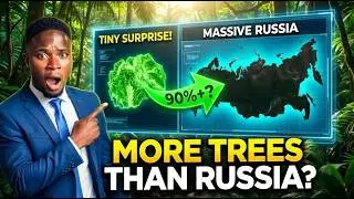 Рейтинг 10 самых экологически чистых стран мира