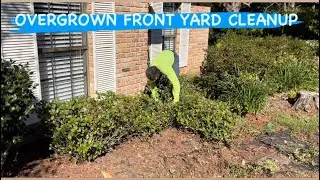 OVERGROWN FRONT YARD CLEANUP-GARDEN BED MAKEOVER