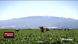 Farms are facing labor and supply issues due to coronavirus