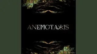 Anemotaxis