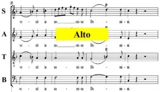 Mozart KV167- 5 Benedictus -Missa in honorem Sanctissimae Trinitatis- Alto