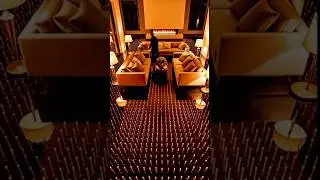 Luxury Starry Sky Epoxy Floor Transformation | Fiber Optic Concrete Floor Makeover
