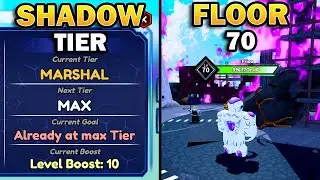 Shadow Tiers Explained &  Reaching Floor 70 In Arise Crossover